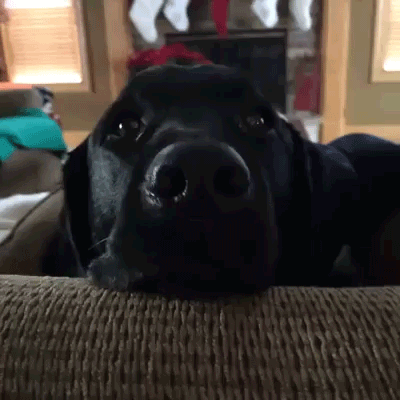 daily_gifdump_520_03.gif