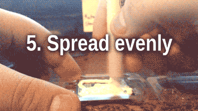 tumblr_ml1vgb1Kht1r3b42jo7_400.gif