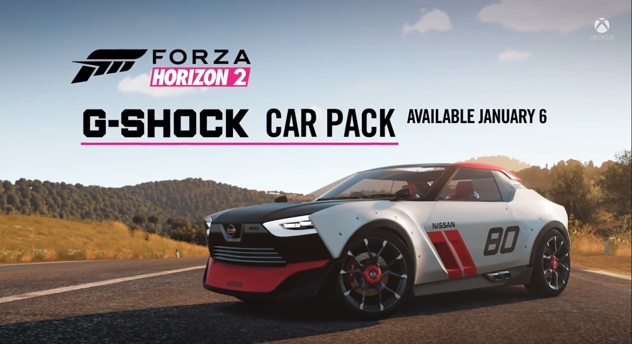 Forza Horizon 2, Software