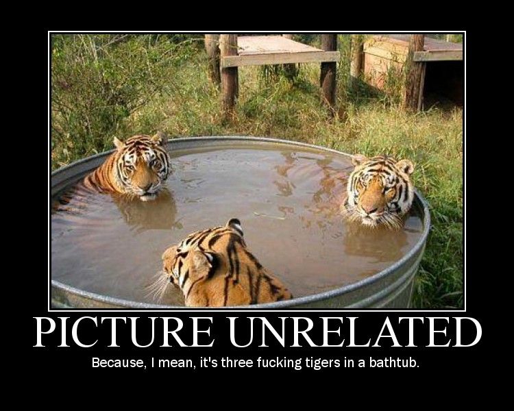 picture-unrelated.jpg