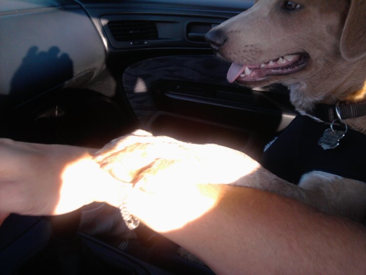 Copilot.jpg
