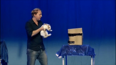 friday_gifdump_523_17.gif
