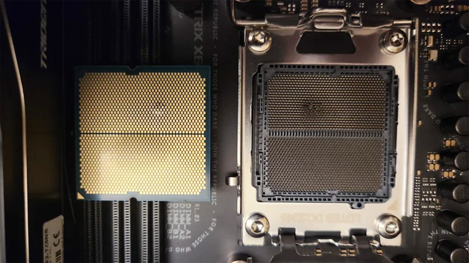 www.pcgamer.com