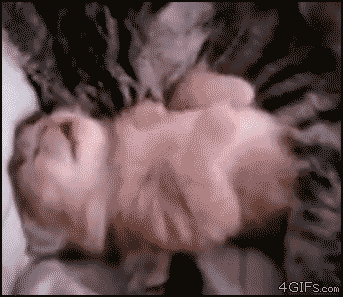 5d42cb04e38eacf7be4d635f761c4b3d.gif