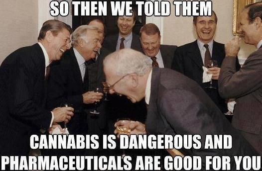 pot-dangerous-ha-ha.jpg
