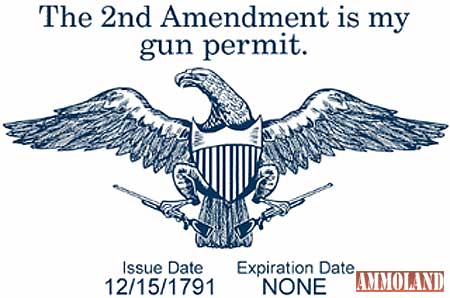 2nd-amendment-is-my-permit.jpg