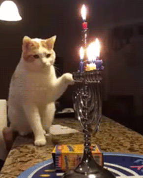 1152015181991.gif