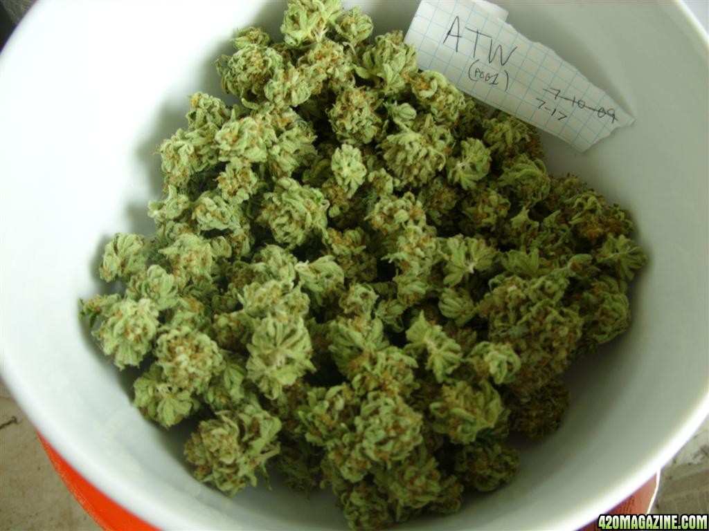 SS854594-trainwreck.JPG