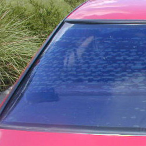 bad-tint-car.jpg
