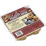 Heath Outdoor Products DD-12 Peanutty Raisin Suet Cake, 11.5 oz, Case Of 12 , Brown