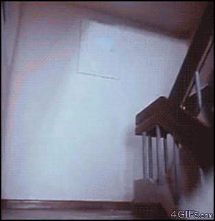 12220132255199.gif