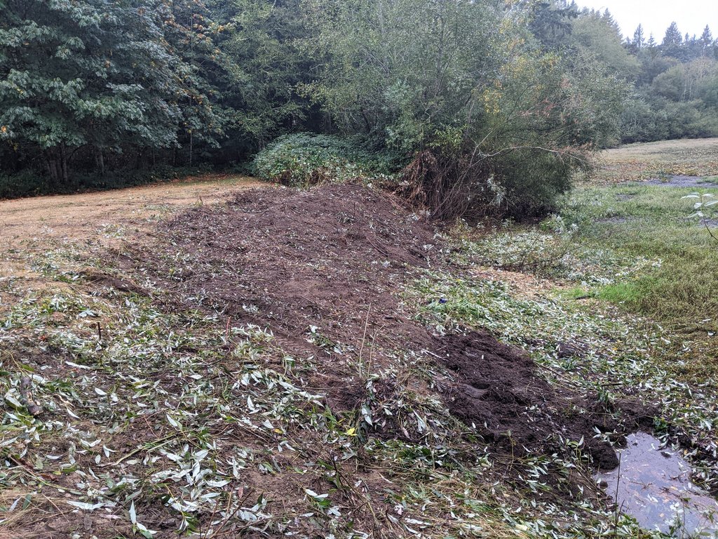 PXL-20210917-181459365.jpg