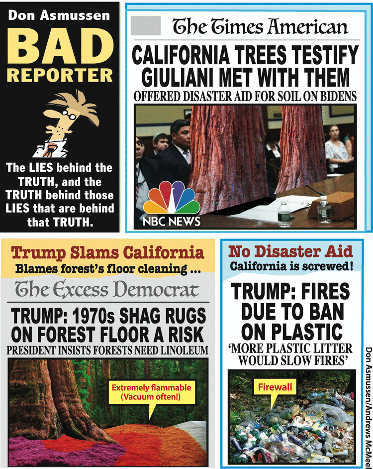 Bad Reporter Comic Strip for November 07, 2019 