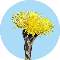 Badge_Tussilago.png