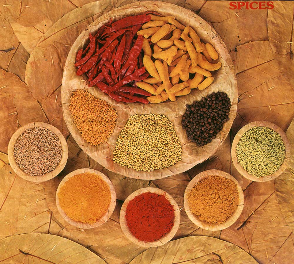 indian_spices.jpg