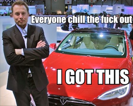 elon-musk-meme.jpg