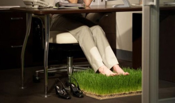 office-grass-patch.jpg