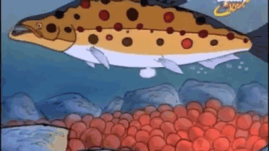 8420141346100.gif