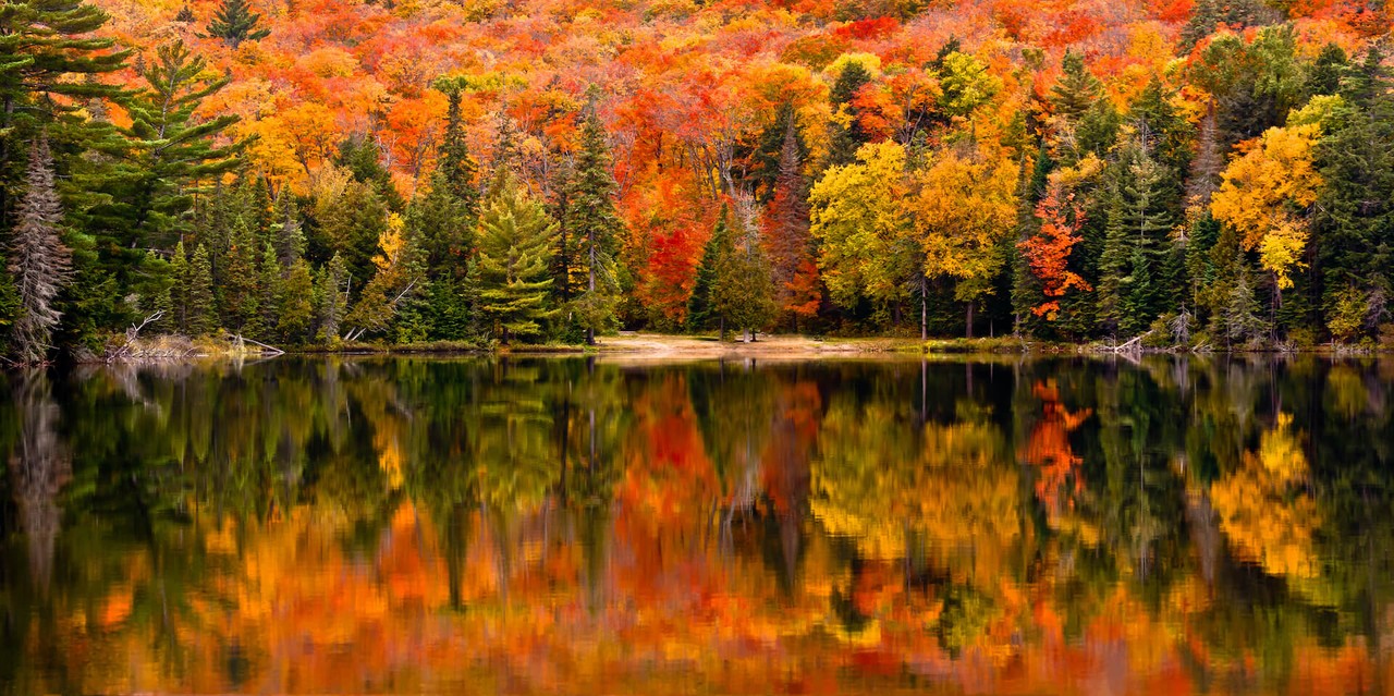 www.northernontariolocal.ca