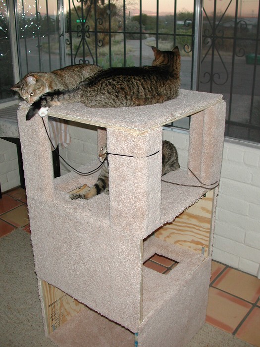 cattower.jpg