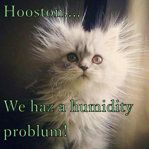 hooston-we-haz-a-humidity-problum