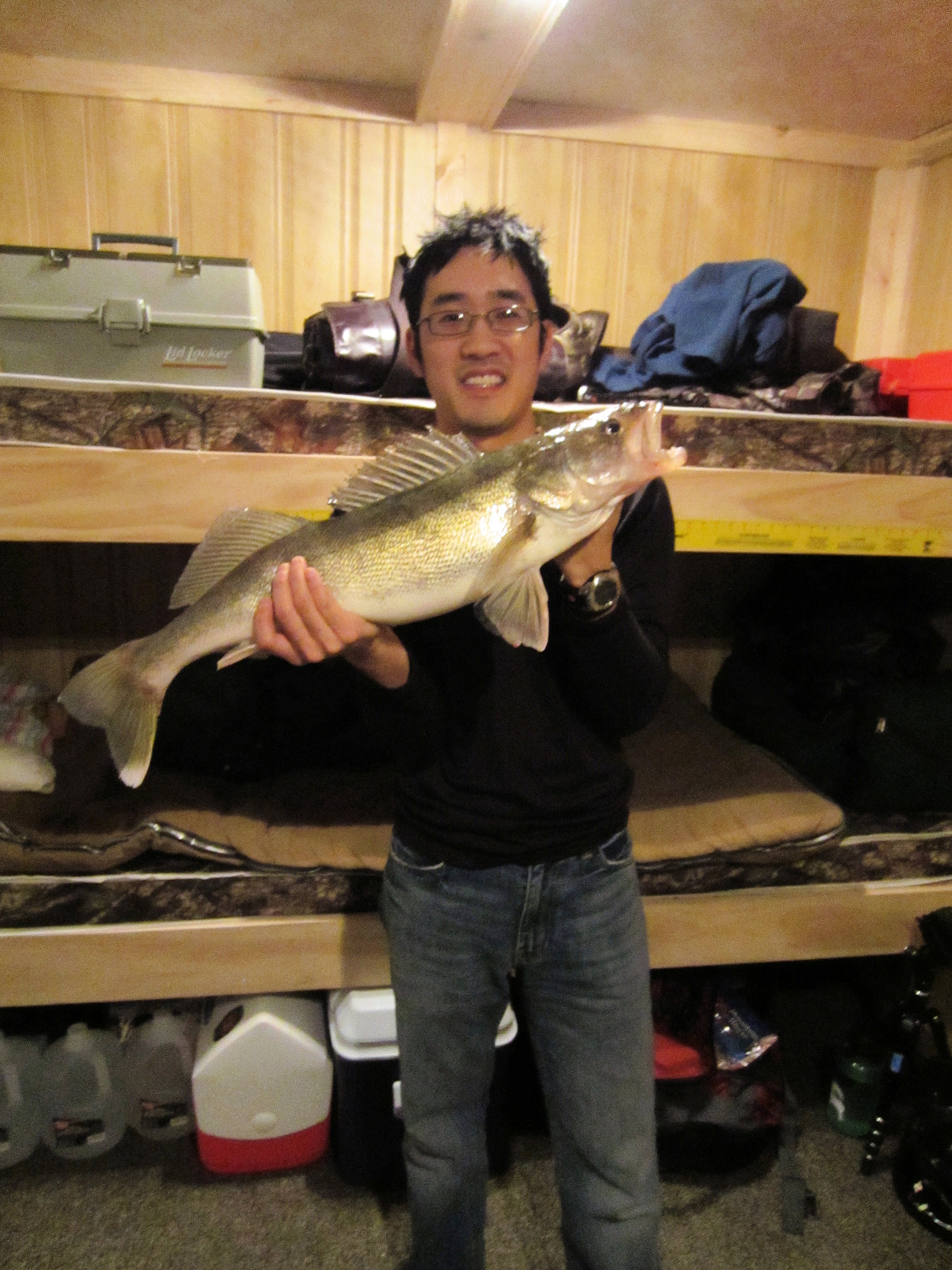 28WallEye.jpg