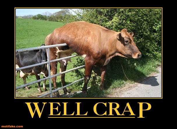 Crap+Cow.jpg