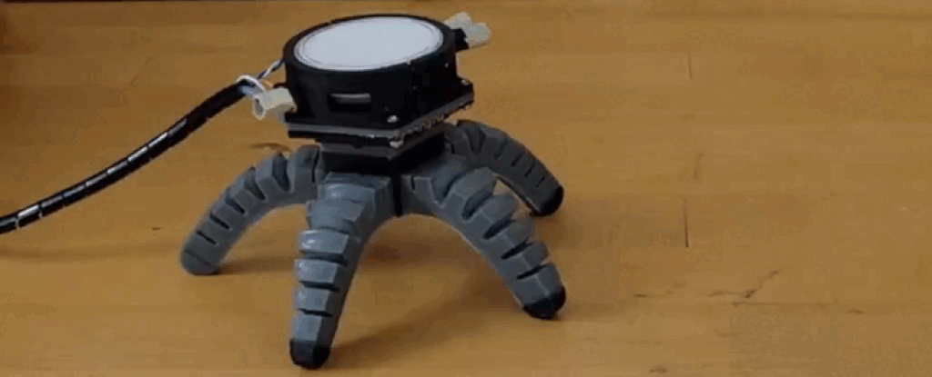 mushroom_driven_robot.gif