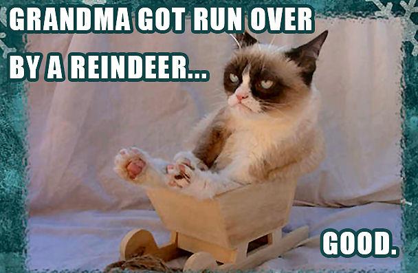 grumpy-cat-reindeer.jpg