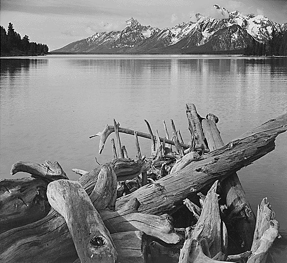 ansel-adams.jpg