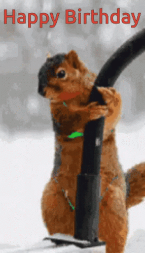happy-birthday-happy-birthday-squirrel.gif