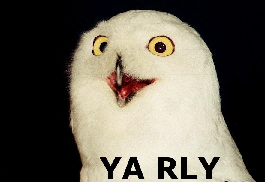 Yarly.jpeg