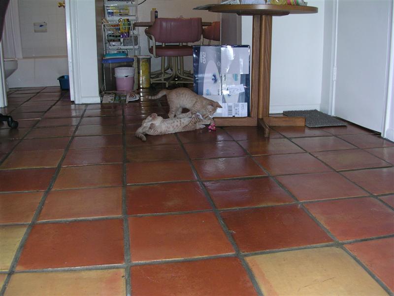 DSCN0336 (Medium).JPG