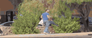 daily_gifdump_515_17.gif