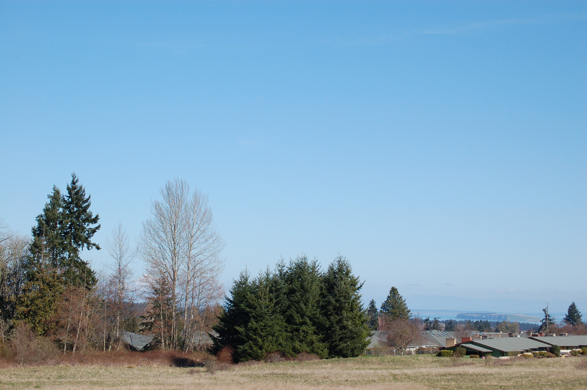DSC-0003.jpg