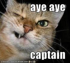 main-qimg-87ccb03c8d4b5889e605b04676341c4b-c