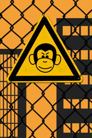 zMonkey.png