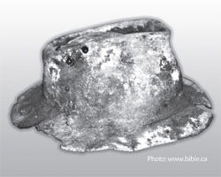 fossilized-hat.jpg