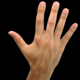 number05.jpg