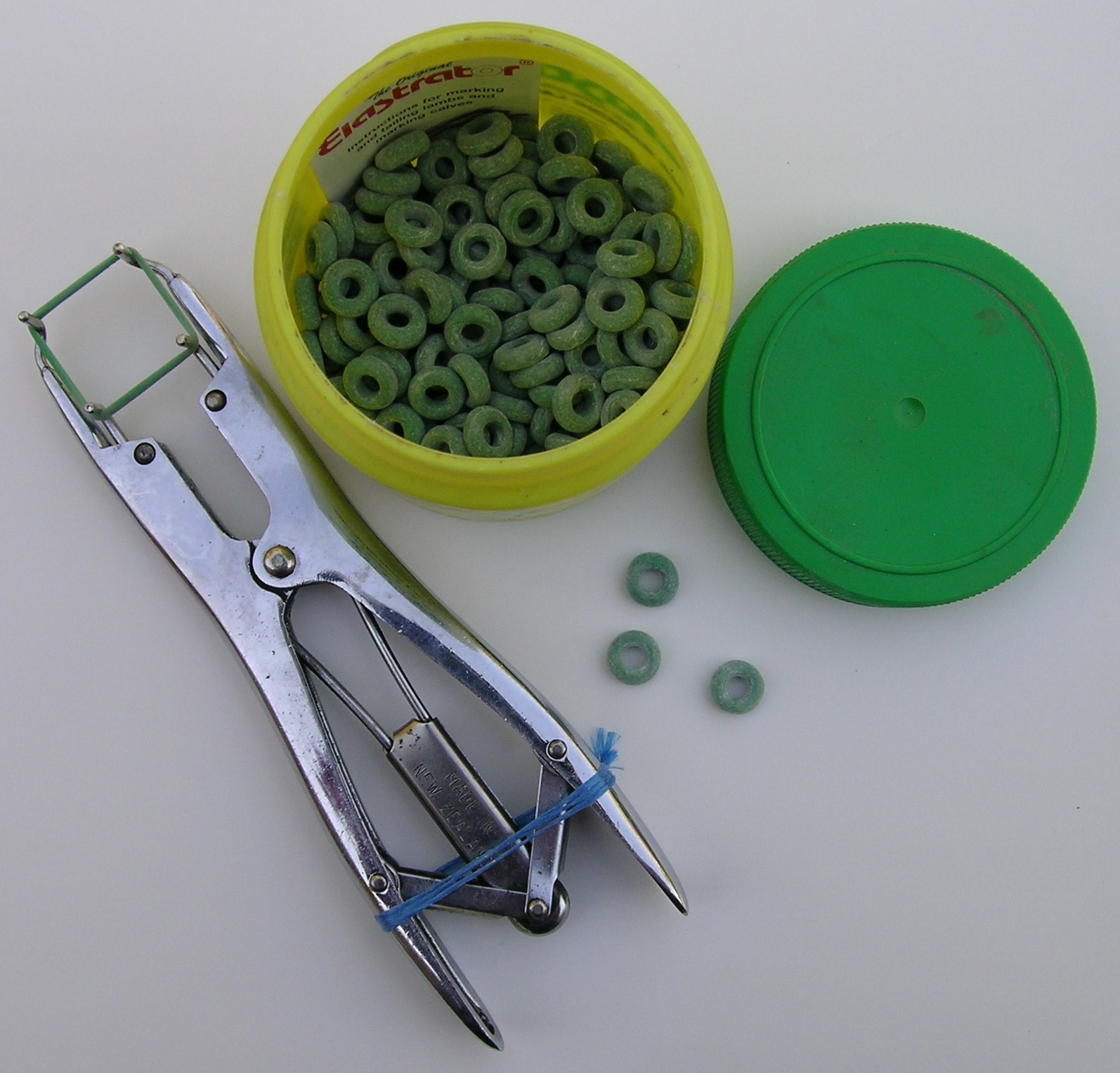 Elastrator_rings.JPG