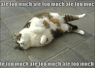 ate+too+much.bmp