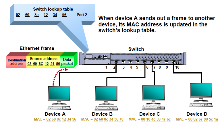 NetBlog11Fig1.png