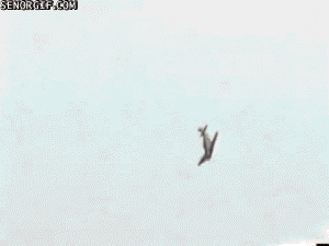 friday_gifdump_518_12.gif