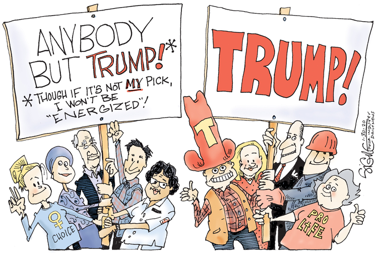 Signe Wilkinson Comic Strip for January 30, 2020 