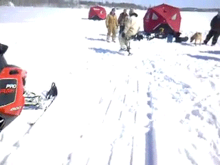 friday_gifdump_523_03.gif
