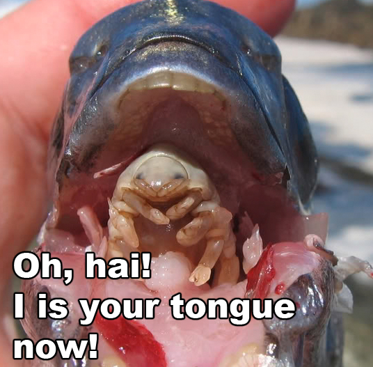 tongueisopod.jpg