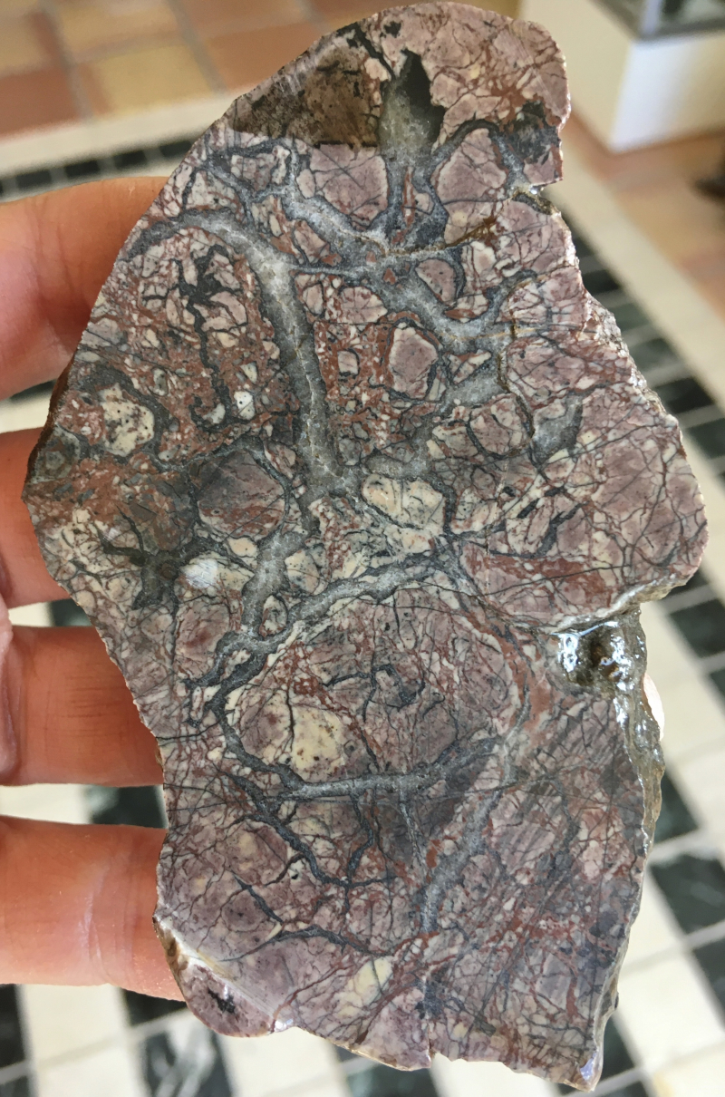 septarian2_wl.jpg