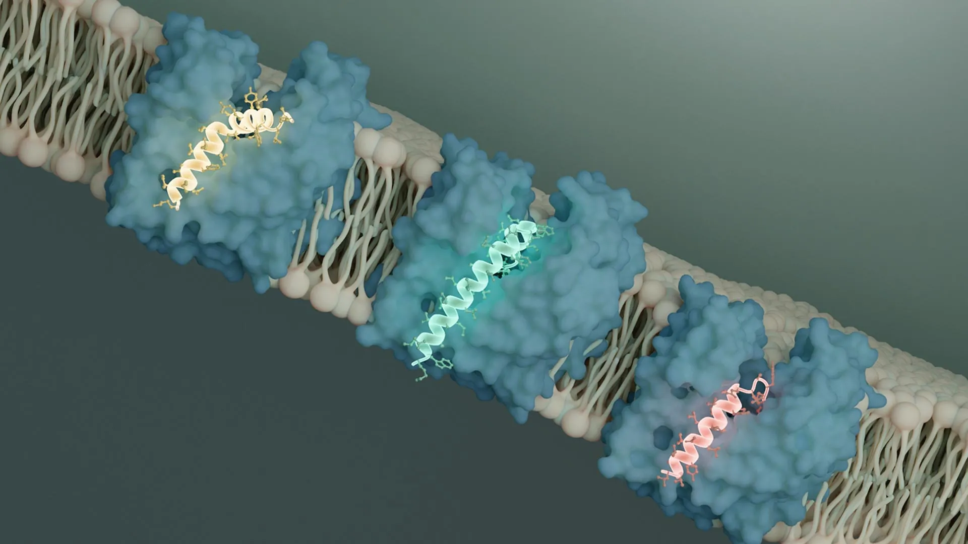 www.sciencedaily.com