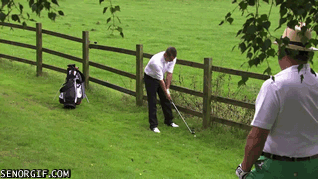 daily_gifdump_522_01.gif