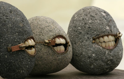 Pet+Rocks.jpg